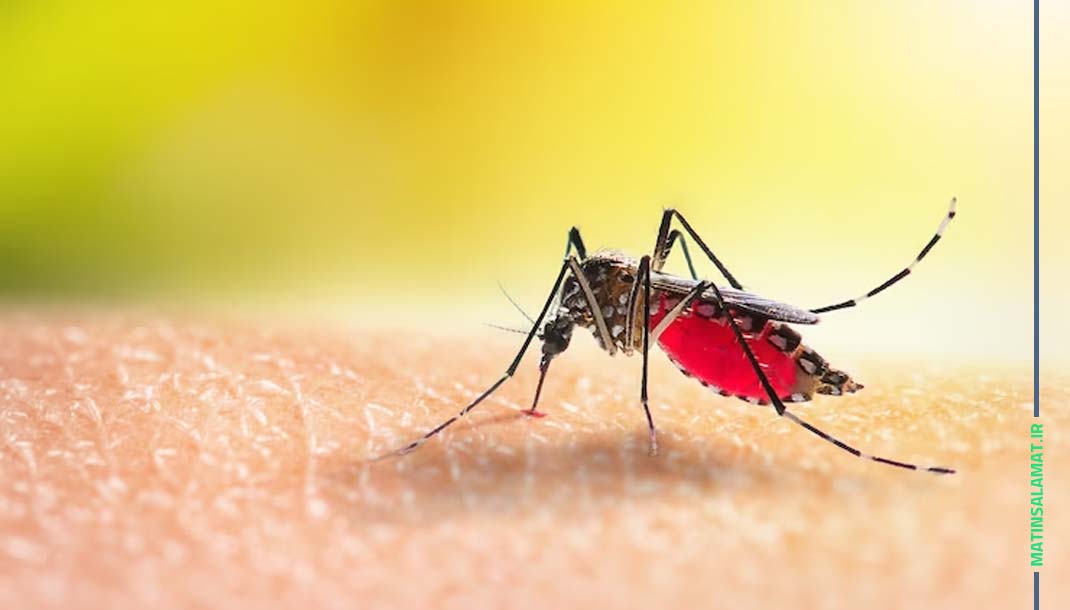 مالاریا چیست؟